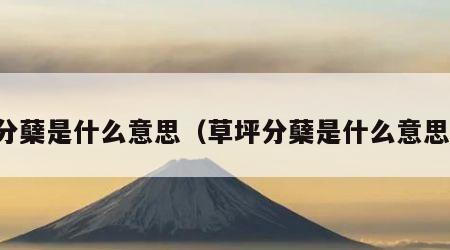分蘖是什么意思（草坪分蘖是什么意思）