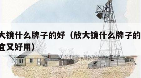 放大镜什么牌子的好（放大镜什么牌子的好,便宜又好用）