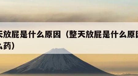 整天放屁是什么原因（整天放屁是什么原因吃什么药）