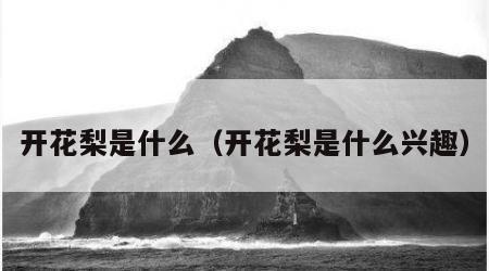 开花梨是什么（开花梨是什么兴趣）