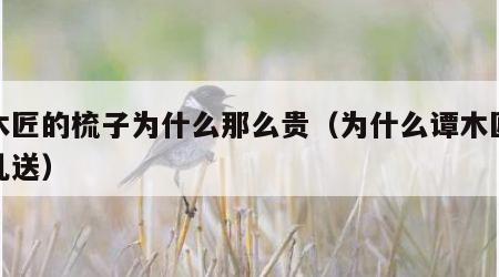 谭木匠的梳子为什么那么贵（为什么谭木匠不能乱送）