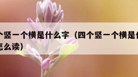 四个竖一个横是什么字（四个竖一个横是什么字怎么读）