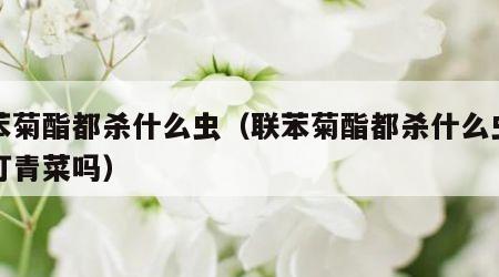 联苯菊酯都杀什么虫（联苯菊酯都杀什么虫可以打青菜吗）