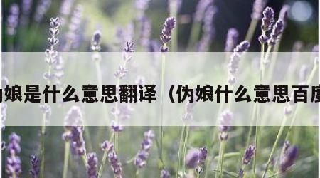 伪娘是什么意思翻译（伪娘什么意思百度）