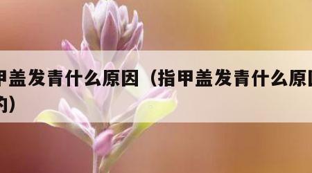 指甲盖发青什么原因（指甲盖发青什么原因引起的）