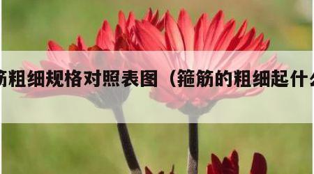 箍筋粗细规格对照表图（箍筋的粗细起什么作用）