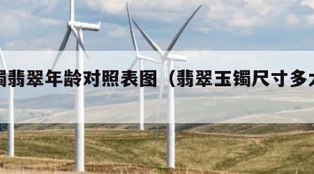 玉镯翡翠年龄对照表图（翡翠玉镯尺寸多大合适）