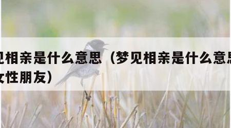 梦见相亲是什么意思（梦见相亲是什么意思已婚女性朋友）