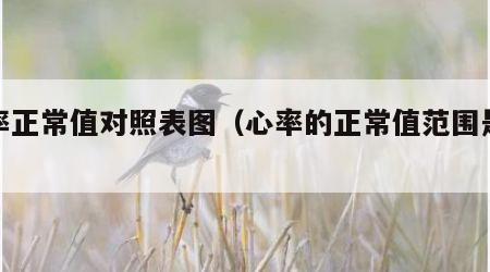心率正常值对照表图（心率的正常值范围是多少）
