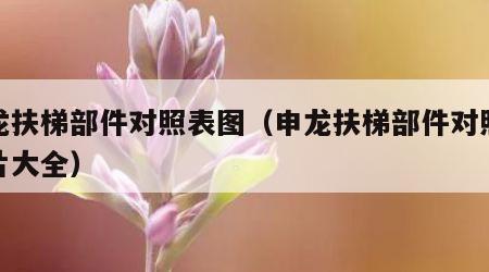 申龙扶梯部件对照表图（申龙扶梯部件对照表图片大全）