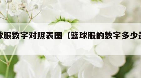 篮球服数字对照表图（篮球服的数字多少最好）