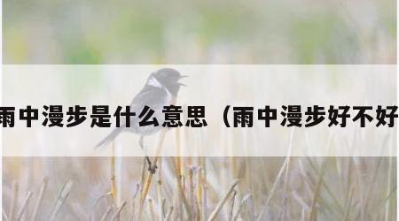 雨中漫步是什么意思（雨中漫步好不好）