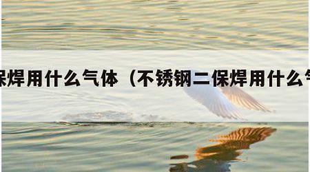 二保焊用什么气体（不锈钢二保焊用什么气体）