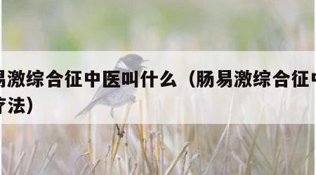 肠易激综合征中医叫什么（肠易激综合征中医治疗法）