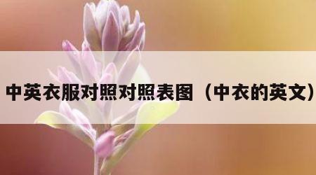 中英衣服对照对照表图（中衣的英文）