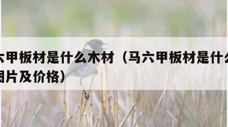马六甲板材是什么木材（马六甲板材是什么木材图片及价格）