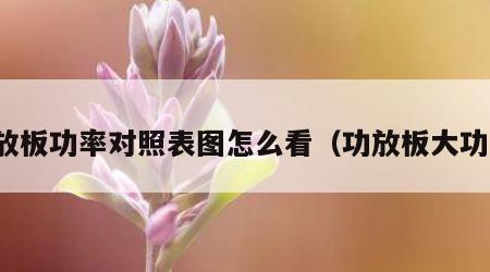 功放板功率对照表图怎么看（功放板大功率）