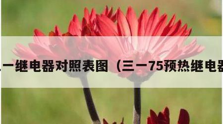 三一继电器对照表图（三一75预热继电器）