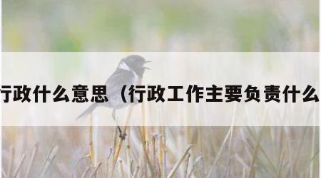 行政什么意思（行政工作主要负责什么）