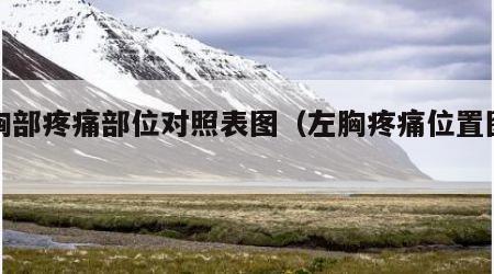 左胸部疼痛部位对照表图（左胸疼痛位置图图片）