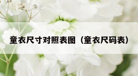 童衣尺寸对照表图（童衣尺码表）