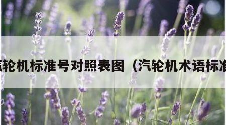 汽轮机标准号对照表图（汽轮机术语标准）