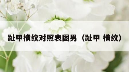 趾甲横纹对照表图男（趾甲 横纹）