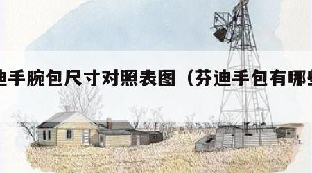 芬迪手腕包尺寸对照表图（芬迪手包有哪些系列）