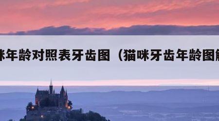 猫咪年龄对照表牙齿图（猫咪牙齿年龄图解高清）