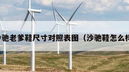 沙驰老爹鞋尺寸对照表图（沙驰鞋怎么样）
