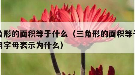 三角形的面积等于什么（三角形的面积等于什么用字母表示为什么）