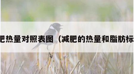 减肥热量对照表图（减肥的热量和脂肪标准）