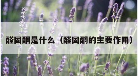 醛固酮是什么（醛固酮的主要作用）