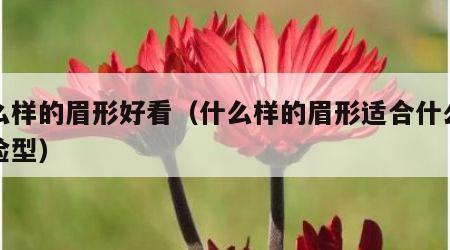 什么样的眉形好看（什么样的眉形适合什么样的脸型）