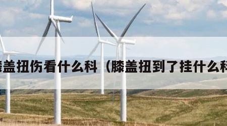 膝盖扭伤看什么科（膝盖扭到了挂什么科）