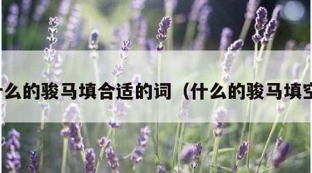 什么的骏马填合适的词（什么的骏马填空）