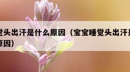 睡觉头出汗是什么原因（宝宝睡觉头出汗是什么原因）
