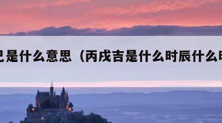 癸巳是什么意思（丙戌吉是什么时辰什么时间）