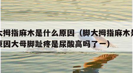 脚大拇指麻木是什么原因（脚大拇指麻木是什么原因大母脚趾疼是尿酸高吗了一）
