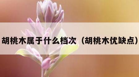胡桃木属于什么档次（胡桃木优缺点）