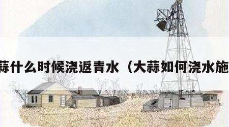 大蒜什么时候浇返青水（大蒜如何浇水施肥）
