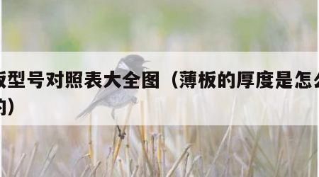 薄板型号对照表大全图（薄板的厚度是怎么规定的）