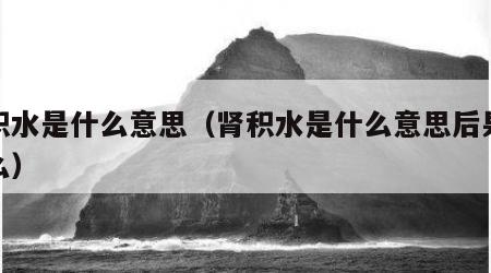 肾积水是什么意思（肾积水是什么意思后果是什么）