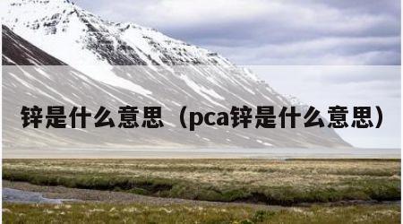 锌是什么意思（pca锌是什么意思）