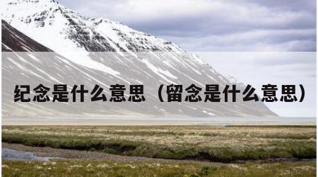 纪念是什么意思（留念是什么意思）