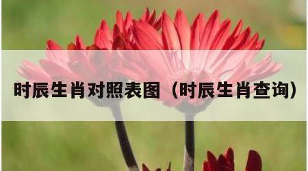 时辰生肖对照表图（时辰生肖查询）