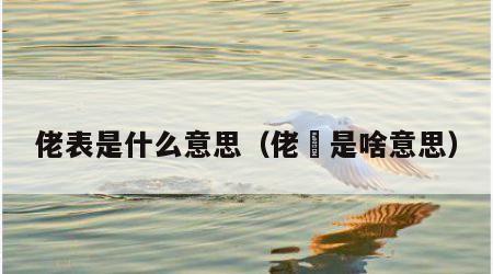 佬表是什么意思（佬俵是啥意思）