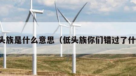 低头族是什么意思（低头族你们错过了什么）