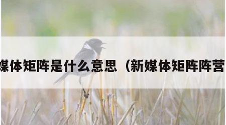 新媒体矩阵是什么意思（新媒体矩阵阵营图）