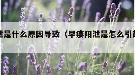 早泄是什么原因导致（早痿阳泄是怎么引起的）